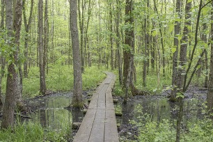 Southern Indiana Sentinel Landscape