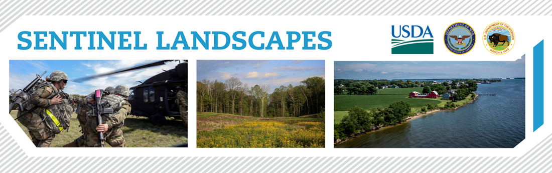Sentinel Landscapes