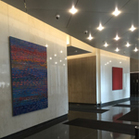 New art in the federal district