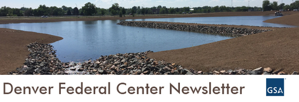 DFC Newsletter cover graphic 