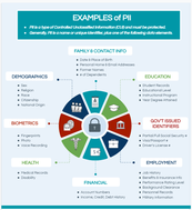 PII Infographic