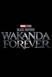 black panther wakanda forever promo poster