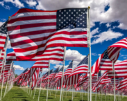 Row of US flags 