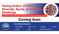 COVID-19 Diversity, Equity, & Inclusion Challenge logo