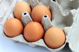 Salmonella in Eggs