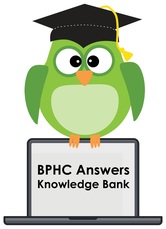 Knowledge Bank Owl