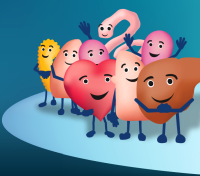 clipart image of several human organs in cartoon form
