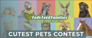 CutestPetsContest