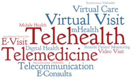 Telehealth Terms