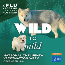 National Influenza Vaccination Week