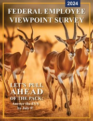 Springbok poster2
