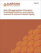 AAPCHO Data Disaggregation Report