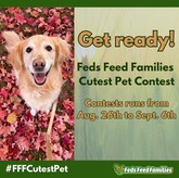 FFF Pet Contest