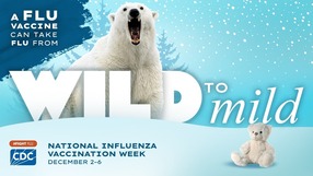 Flu Vaccine - Wild to Mild