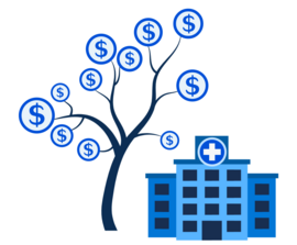 Funding opportunity for a health organization