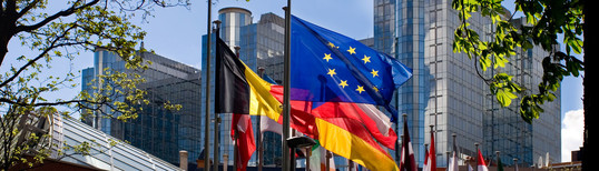 EUR flags