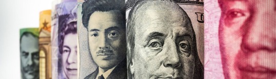 image of various rolled banknotes lined up