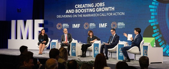 photo of panelists at creating jobs in the middle east and north africa event AM24