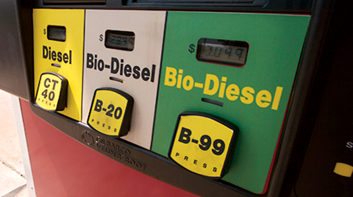 biodiesel-pump