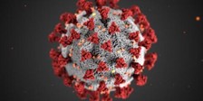 coronavirus image 