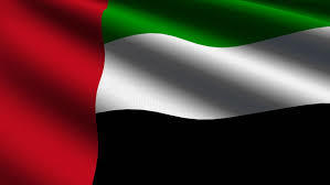 UAE flag