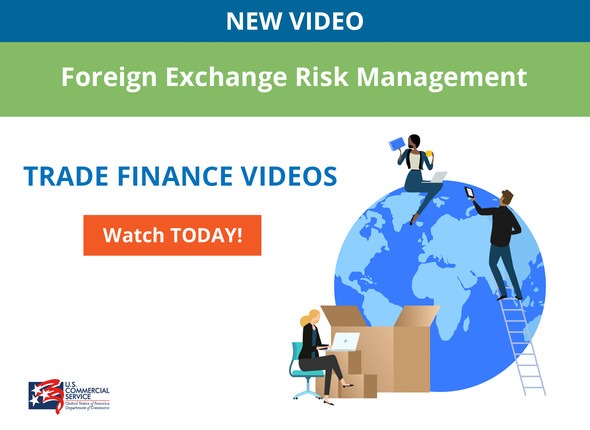 Foreign Exchange Risk Video