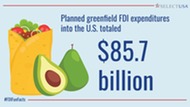 A graphic detailing planned greenfield foreign direct investment expenditures into the United States