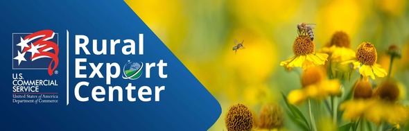REC Summer Banner (bees (apis mellifera) on helenium flowers - close up)
