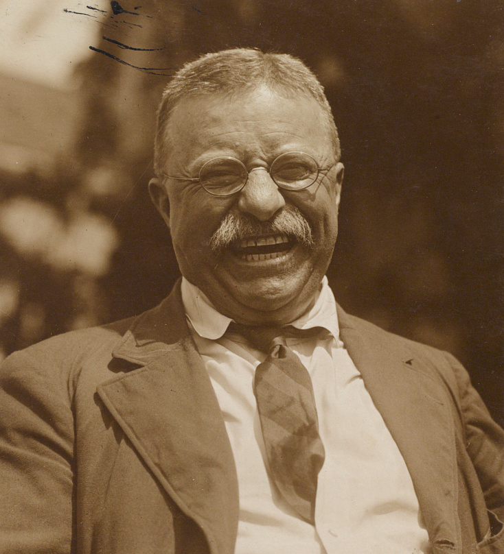 President Theodore Roosevelt is shown in 1910 after he had left the White House. (Library of Congress Prints and Photographs Division)