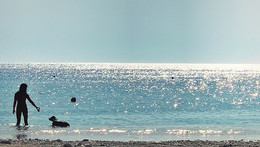 A woman and a dog playing in the water at the beach