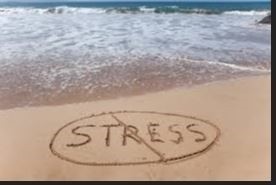 Stress Free