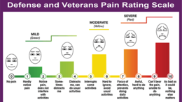 Pain Scale