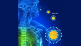 Antibiotic Resistance