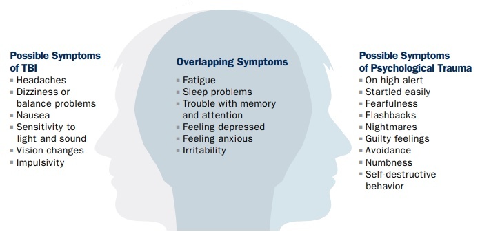 Graphic from the Concussion and PTSD fact sheet.