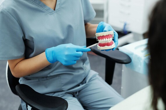 Dental worker holds a set of model teeth