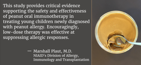 This study provides critical evidence supporting the safety and effectiveness of peanut oral immunotherapy in treating young children...