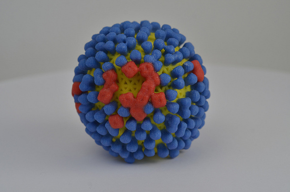 model of flu virus