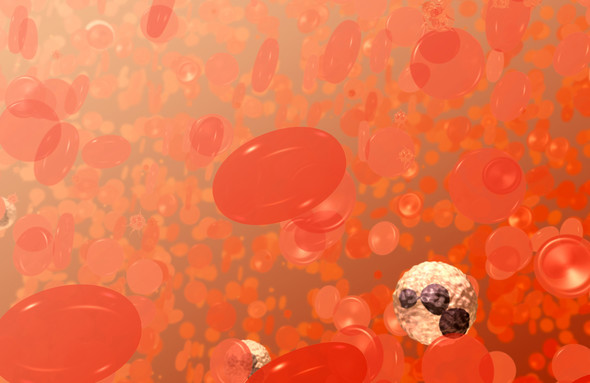 Illustration of red and white blood cells