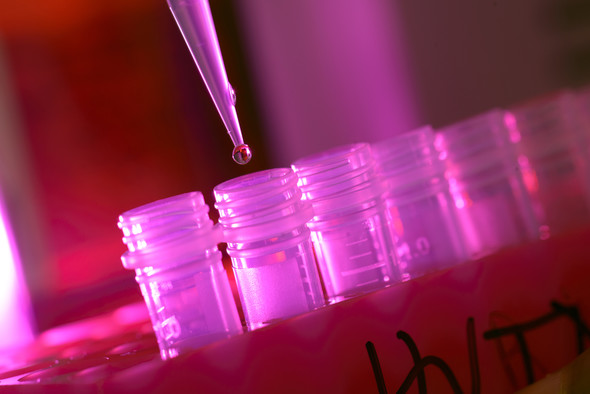 Filling vials. Photo courtesy of Fred Hutch Cancer Research Center