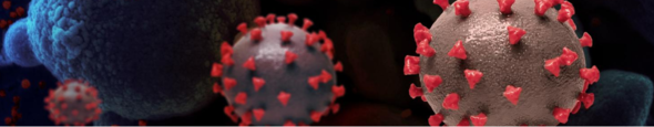 Models of SARS-CoV-2, the virus that causes COVID-19