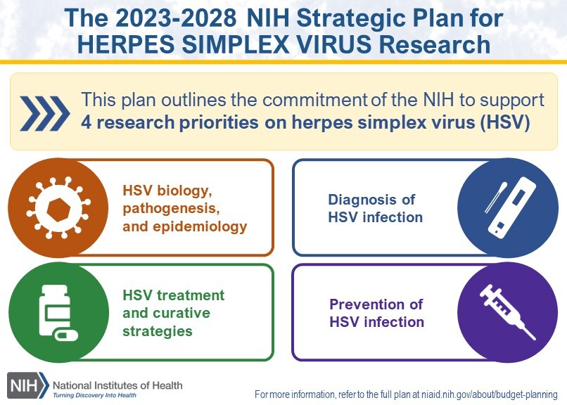 NIH's approach to HSV research