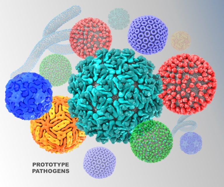 prototype pathogens