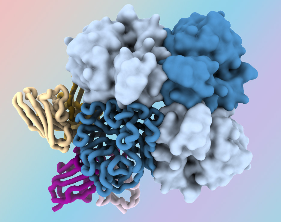 A multicolored globular representation of neuraminidase protein with bound antibodies on a colorful background