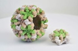  3D print of Norwalk virus