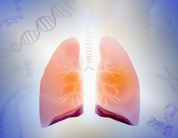 Illustration of softly colored lungs backlit by bright light. DNA, other molecules, and an infant's face fade into background around the lungs.