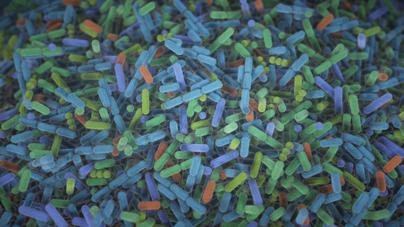 Dozens of blue, green, and orange capsule-shaped bacteria