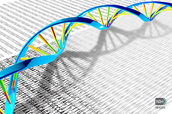 Three-dimensional DNA double helix rests on flat white page with black letters.