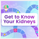 Get to know your kidneys