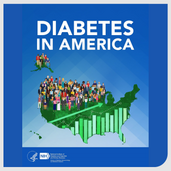 Diabetes in America cover image