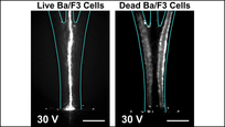 Fiber Microfluidics